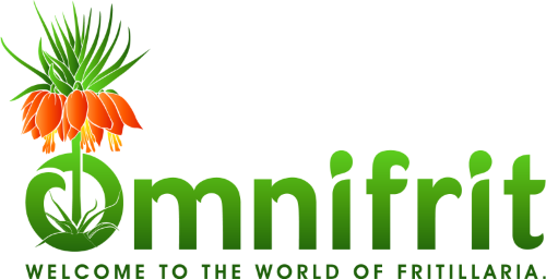 Logo van landbouwbedrijf Omnifrit met een gestileerde oranje Fritillaria bloem boven de naam, tegen een transparante achtergrond.
